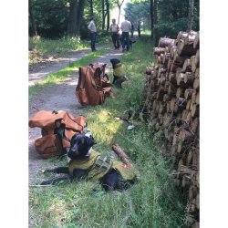 Siccaro WetDog SupremePro Bambus small