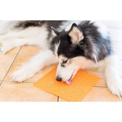 Lickmat orange 20 cm