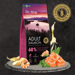 Profine Adult Salmon