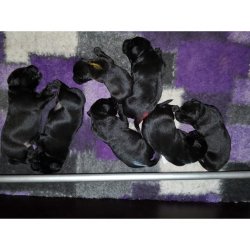 Stockmar bivoksfarver 12 stk.