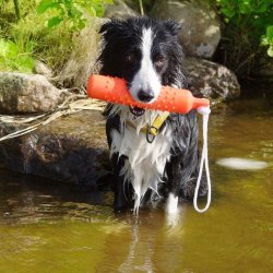 Dummy i plastik lille