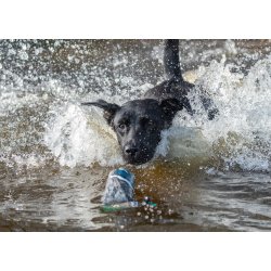 Dummy andeprint 500 g