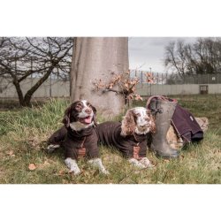 Ruff and Tumble Country medium brun