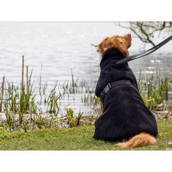 Siccaro Smart Zinfandel red 55 cm