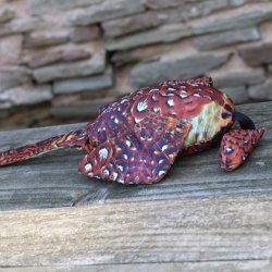 Dummy fasankok 600 gr