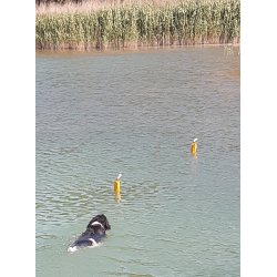 Vanddummy Fyrtrn 500 g