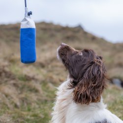 Dummy 250 g bl� med hvid PVC top