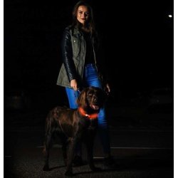 BEE-SAFE lyshalsbnd rd