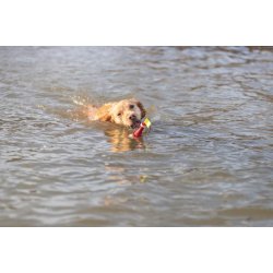 Aqua legetj snack bje