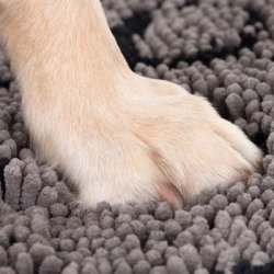 Dog Gone Smart Dirty Dog Doormat 66x90 cm Gr L