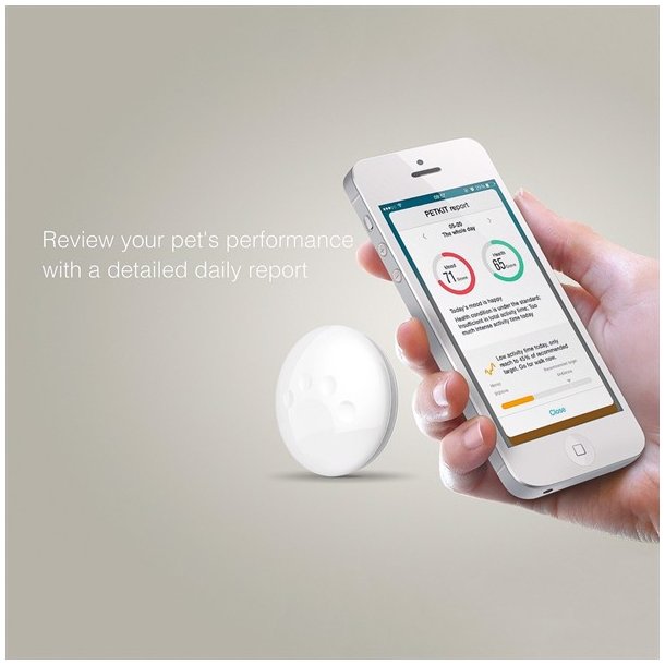 Petkit Pet Activity Monitor hvid