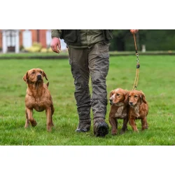 Retrieverline-s�t til 2 hunde 5 mm oliven