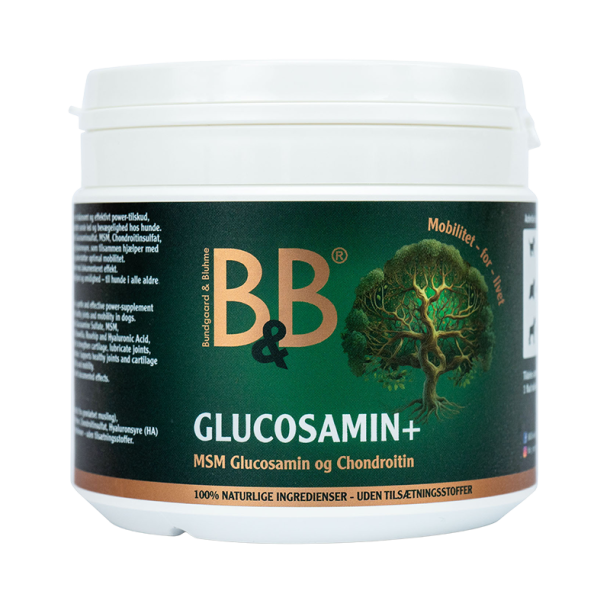 Glucosamin+ 250 g