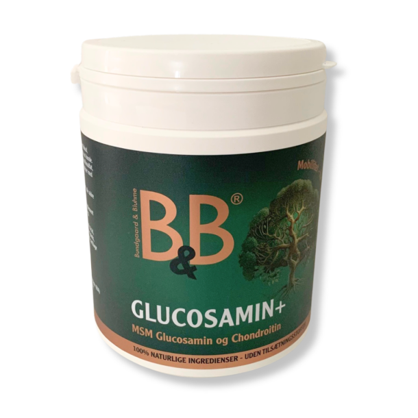 Glucosamin+ 500 g