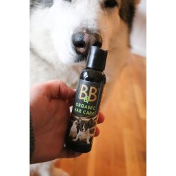 repleje B&B kologisk 