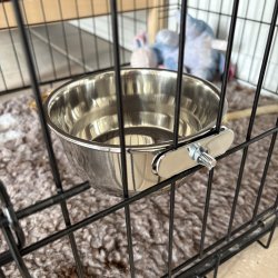 Hundesk�l med sk�lholder i rustfrit st�l 1 L