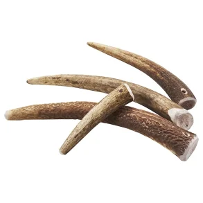 Antlers - hjortegevir - large