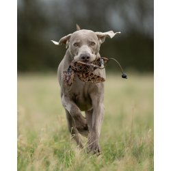 Dummy fugl med fasanh�neprint mini Lite