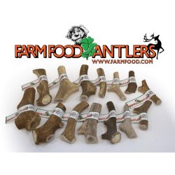 Antlers - hjortegevir - small