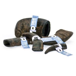 Buffalo Horn - medium