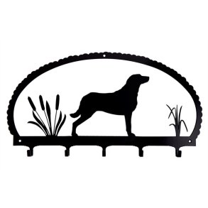 Chesapeake Bay retriever  knagerkke