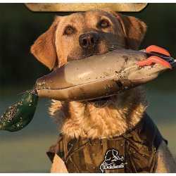 Dokken's mini and dummy