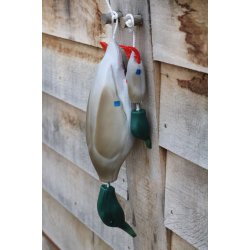 Dokken's Puppy fasan