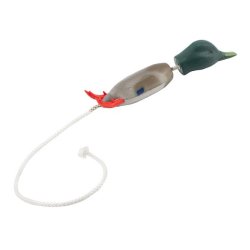 Dokken's Puppy grand