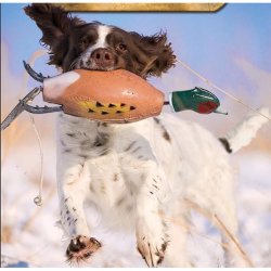 Dokken's mini and dummy