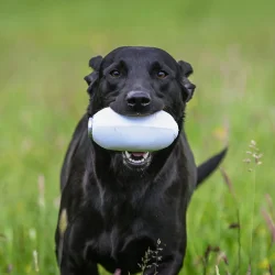 Dummy PVC til dummyskyder torpedo rd