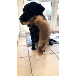 Firedog Dummy 260 g khaki med rvehale