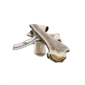 Antlers - hjortegevir - easy - small