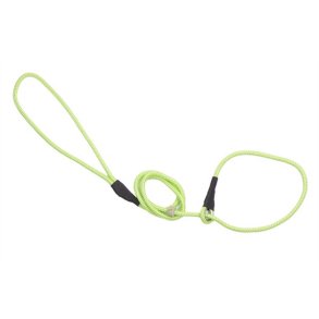 Firedog Retrieverline classic - lime grn 110