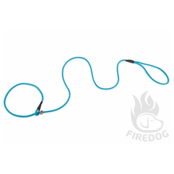 Firedog Retrieverline aqua blue 130