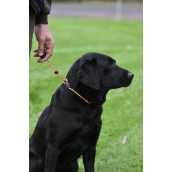 Retrieverline 5 mm - 60 cm oliven