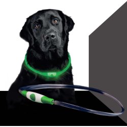 BEE-SAFE lyshalsbnd grn