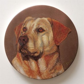 Glasbrikker - Coasters Gul labrador 4 stk.