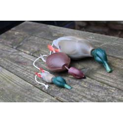 Dokken's Puppy fasan