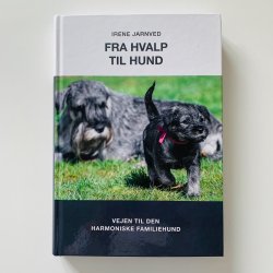 Fra hvalp til hund