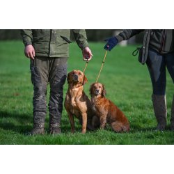 Retrieverline 5 mm - 60 cm oliven