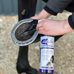 Leucillin Antiseptic Skincare Spray 60 ml