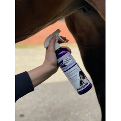 Leucillin Antiseptic Skincare Spray 60 ml