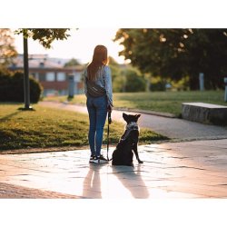 Paikka godbidstaske med refleks