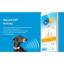 Petkit Pet Activity Monitor pink