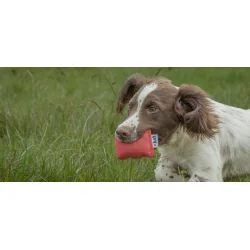 Quail Andy Cullen dummy rd 150 g