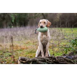 Retrieve Dummy Partridge