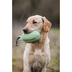 Retrieve Dummy Partridge