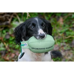 Retrieve Dummy Partridge