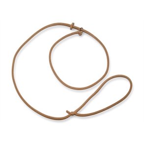 Retrieverline i lder med stop - natur