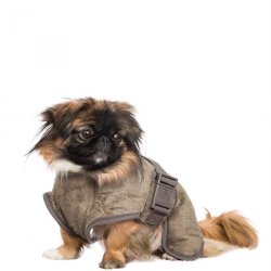 Siccaro WetDog SupremePro Elmwood X- small